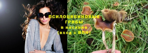 MDMA Арсеньев