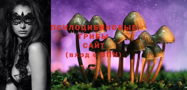 дмт Армянск